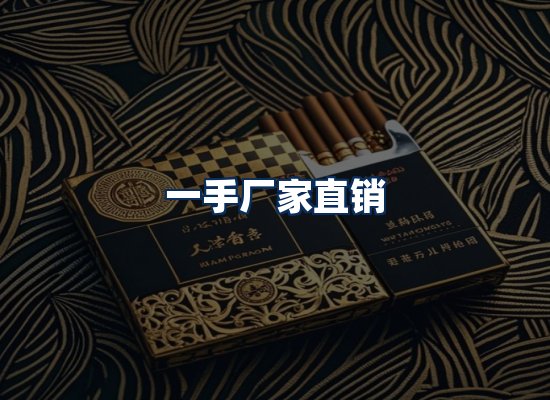 专业团队办公环境